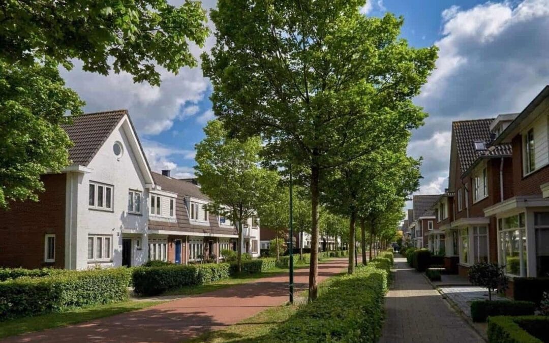 Nieuwe cijfers van het CBS laten zien dat betaalbare nieuwbouw vooral terechtkomt bij huurders met een laag inkomen.